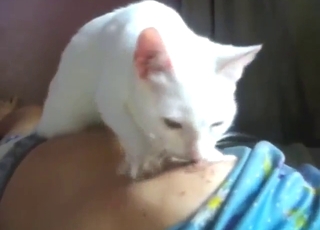 Breastfeeding the cat to fuck it later on