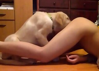 Trained doggy and a nice babe love each other so much
