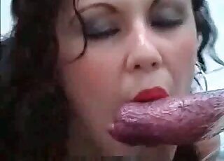 Two prostitutes cherish fucking with animals